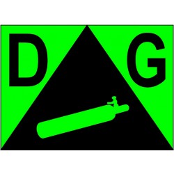 DG2